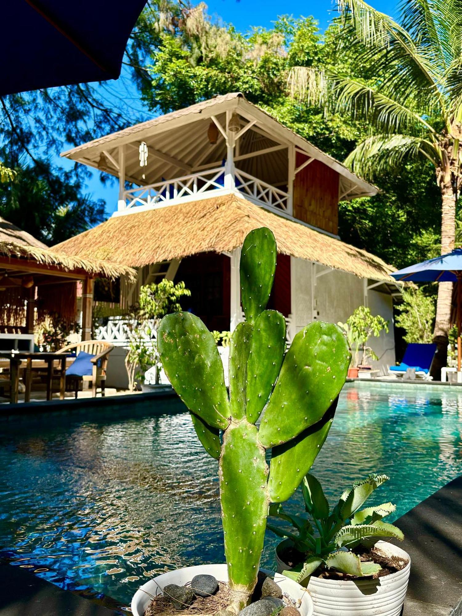 Alibaba Hotel Gili Air